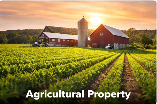 Agricultural Property